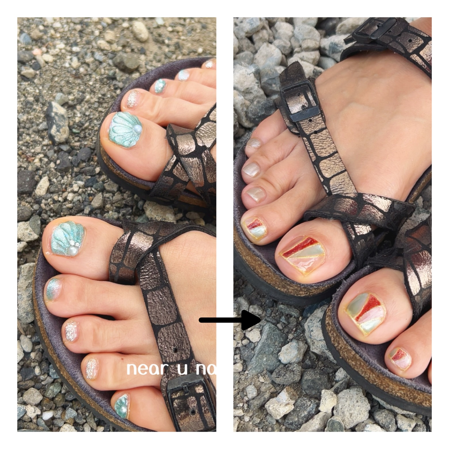 メニューの写真